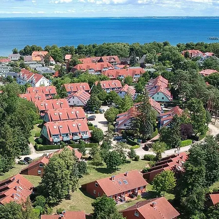 Papillon 03-2 Boltenhagen