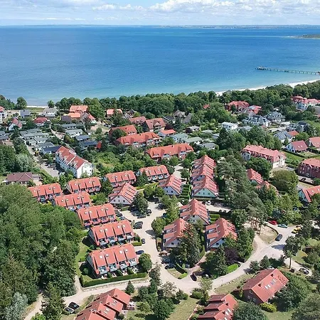 Papillon 03-2 Boltenhagen