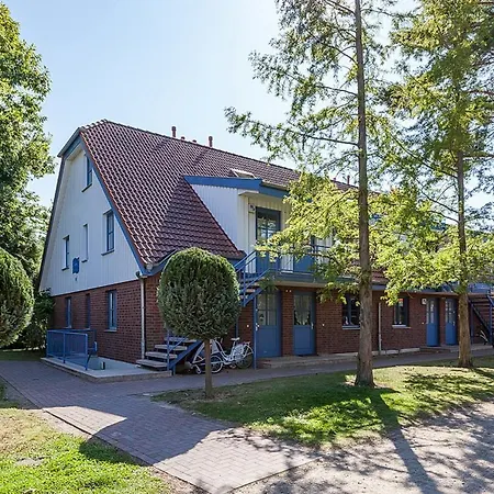 Papillon 03-2 * Boltenhagen